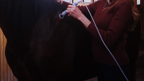 horse v hil applicator